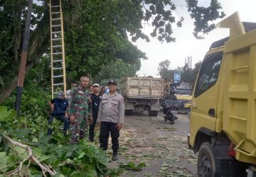 Peduli Keselamatan Warga, Babinsa Koramil Jungkat dan Bhabinkamtibmas Pangkas Ranting Pohon di Bahu Jalan
