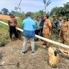 Cegah PETI, Koramil Toho Ikut Patroli dan Sosialisasi Terpadu di Desa Pentek Sadaniang