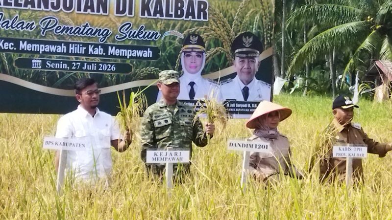 Danramil Mempawah Hilir Hadiri Gerakan Panen Padi, Dukung Swasembada Pangan Berkelanjutan