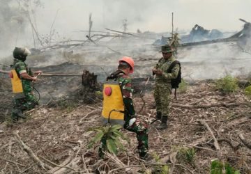 Personel Koramil Toho Kembali Tindaklanjuti Penanganan Karhutla