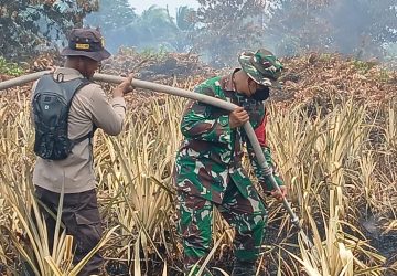 TNI-Polri Kembali Tindaklanjuti Karhutla di Antibar, Pastikan Sisa Bara Api Tak Meluas