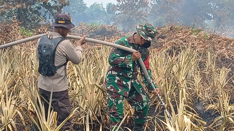 TNI-Polri Kembali Tindaklanjuti Karhutla di Antibar, Pastikan Sisa Bara Api Tak Meluas