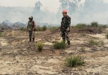 Koramil Toho Perkuat Penanganan Karhutla di Wilayah Sadaniang